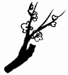 ؂G